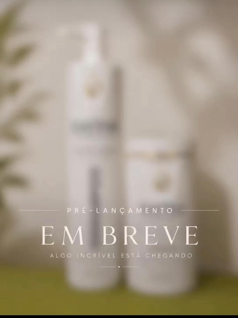 Lançamento Zavine